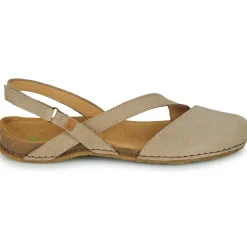 El Naturalista - PANGLAO N5813