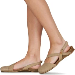 El Naturalista - PANGLAO N5813