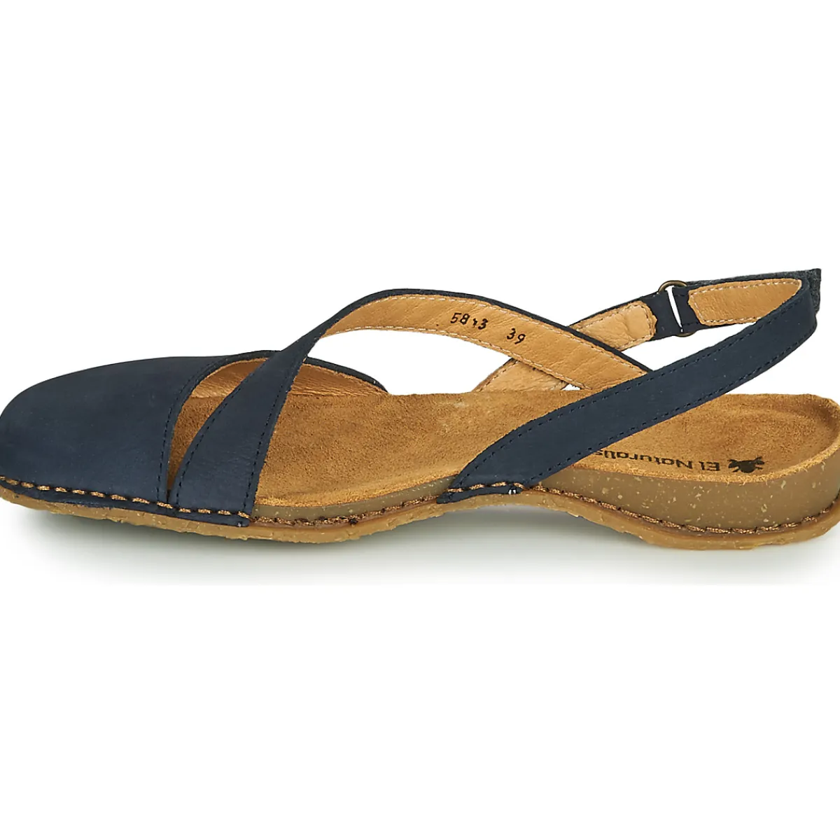 El Naturalista - PANGLAO N5813