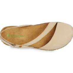 El Naturalista - PANGLAO N5813