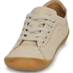 El Naturalista - PAWIKAN N5767T