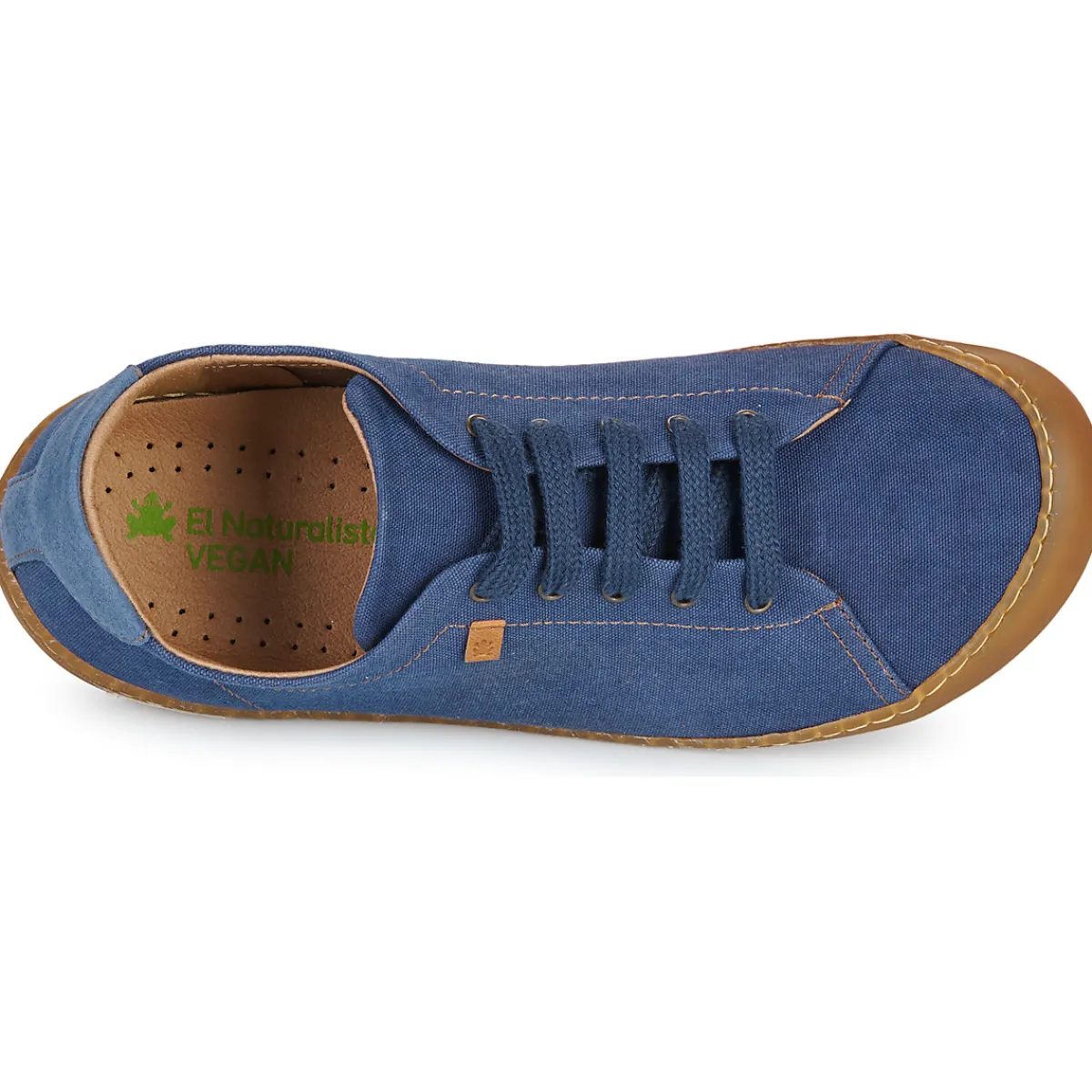 El Naturalista - PAWIKAN N5767T Bleu Clearance
