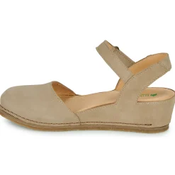 El Naturalista - PICUAL N5850