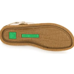 El Naturalista - PLANGLAO Blanc Best