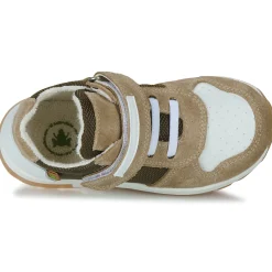 El Naturalista - PORTO New