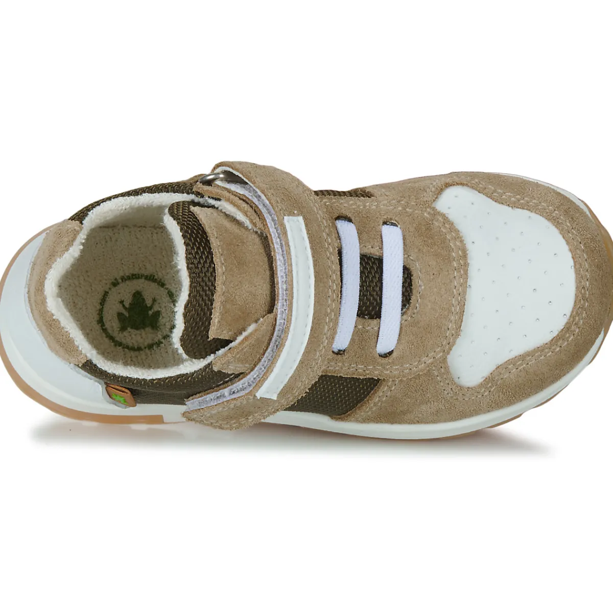 El Naturalista - PORTO New