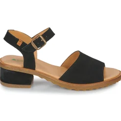 El Naturalista - SABAL N5801