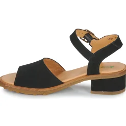 El Naturalista - SABAL N5801