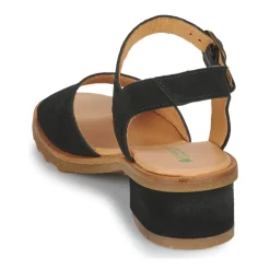 El Naturalista - SABAL N5801