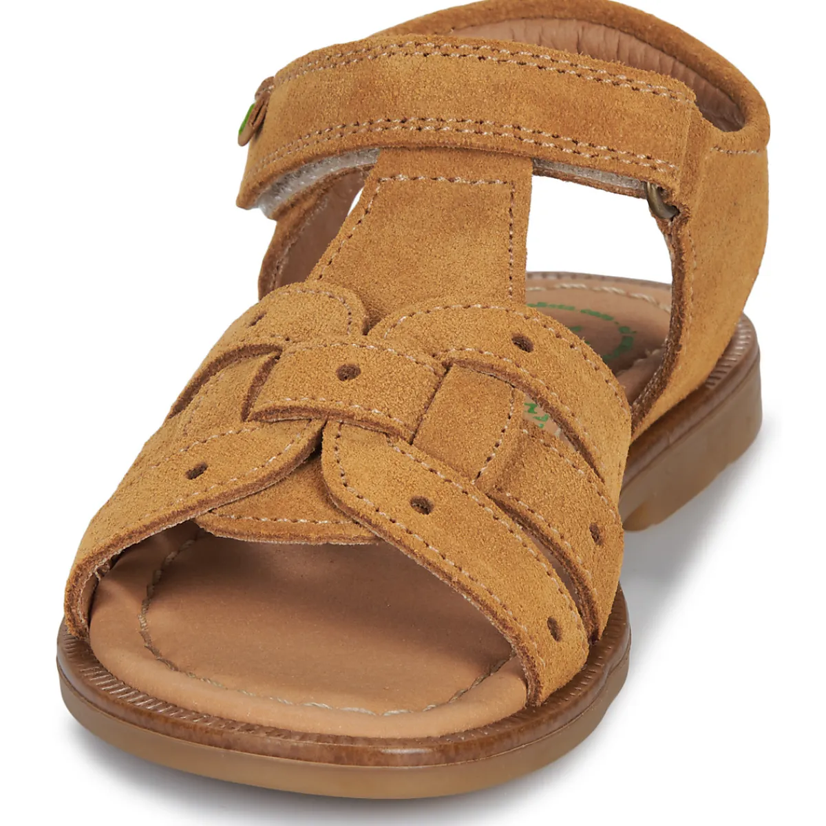 El Naturalista - 15275-SETTER