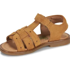 El Naturalista - 15275-SETTER