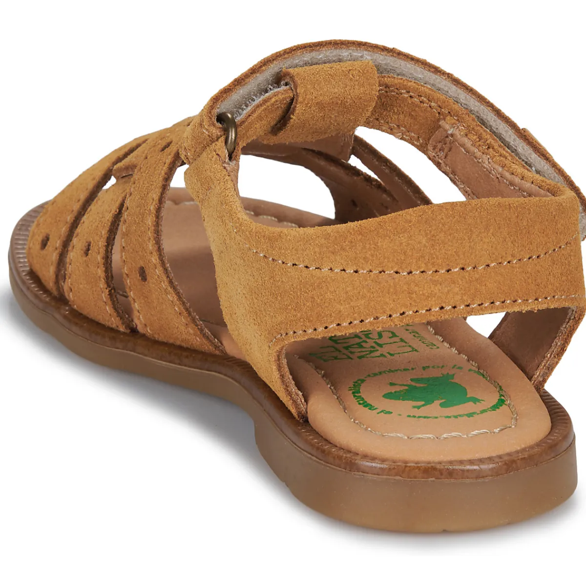 El Naturalista - 15275-SETTER