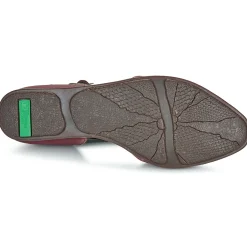 El Naturalista - STELLA ND54