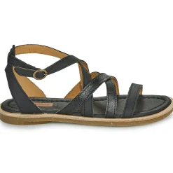 El Naturalista - TONAMI Noir Online