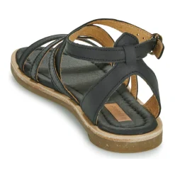 El Naturalista - TONAMI Noir Online