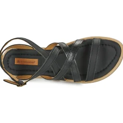 El Naturalista - TONAMI Noir Online