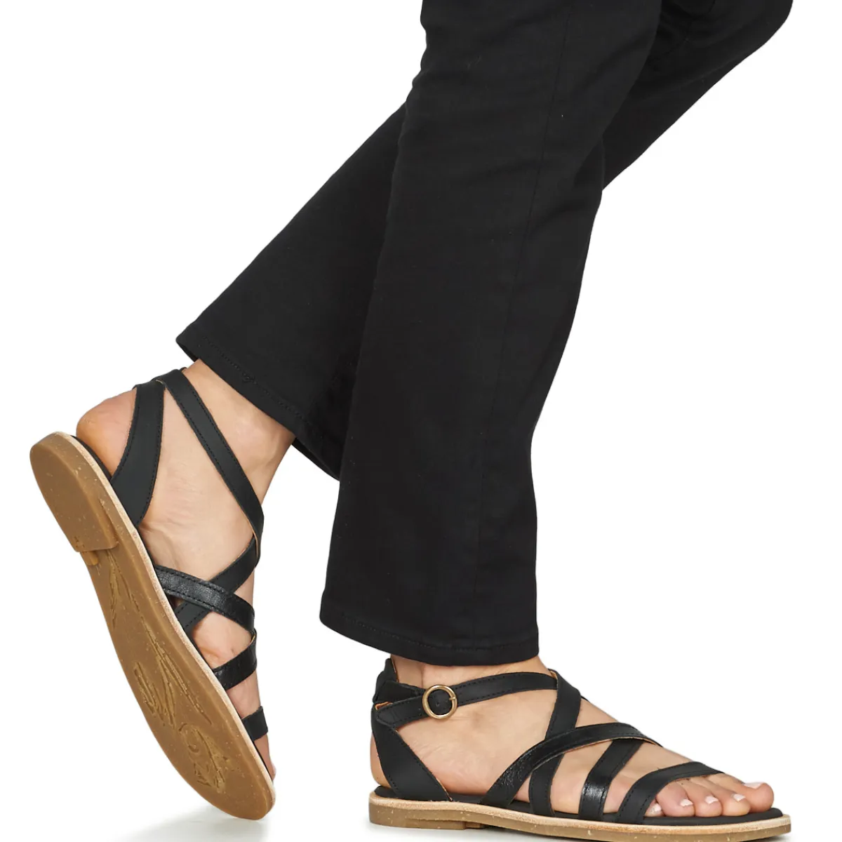 El Naturalista - TONAMI Noir Online