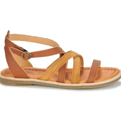 El Naturalista - TONAMI Cognac Sale