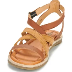 El Naturalista - TONAMI Cognac Sale