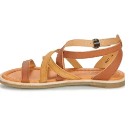 El Naturalista - TONAMI Cognac Sale