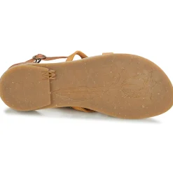 El Naturalista - TONAMI Cognac Sale