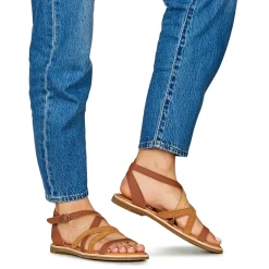 El Naturalista - TONAMI Cognac Sale