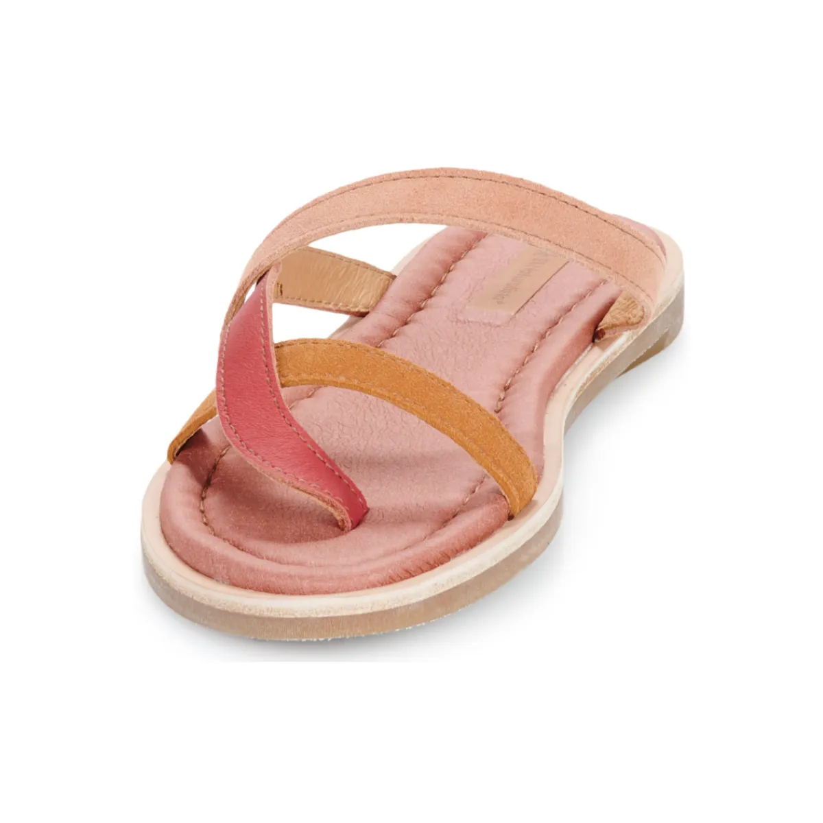 El Naturalista - TONAMI Rose Best