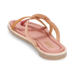 El Naturalista - TONAMI Rose Best