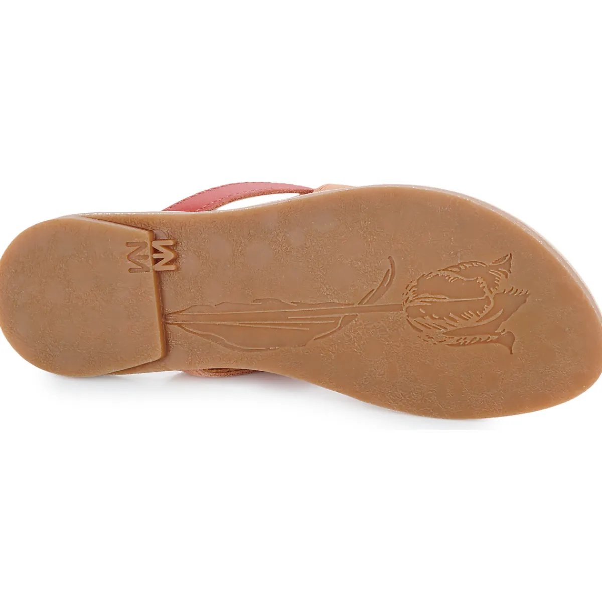 El Naturalista - TONAMI Rose Best