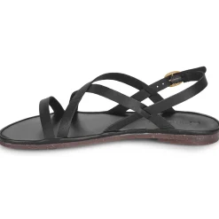 El Naturalista - TULIP N5694