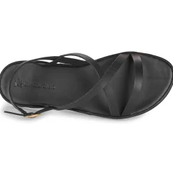 El Naturalista - TULIP N5694