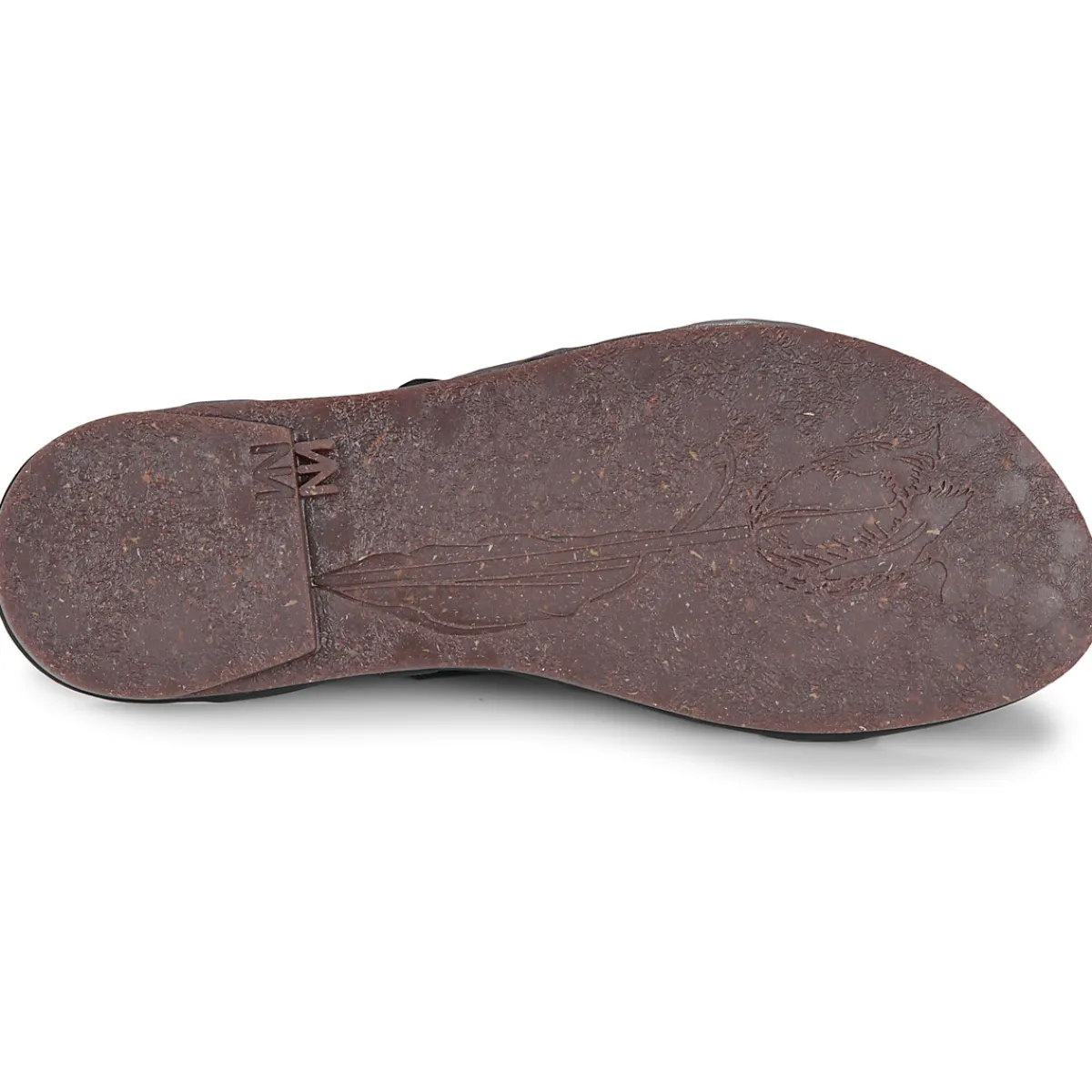 El Naturalista - TULIP N5694