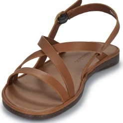 El Naturalista - TULIP N5694 Marron New