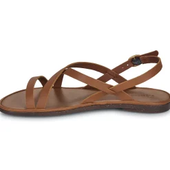 El Naturalista - TULIP N5694 Marron New