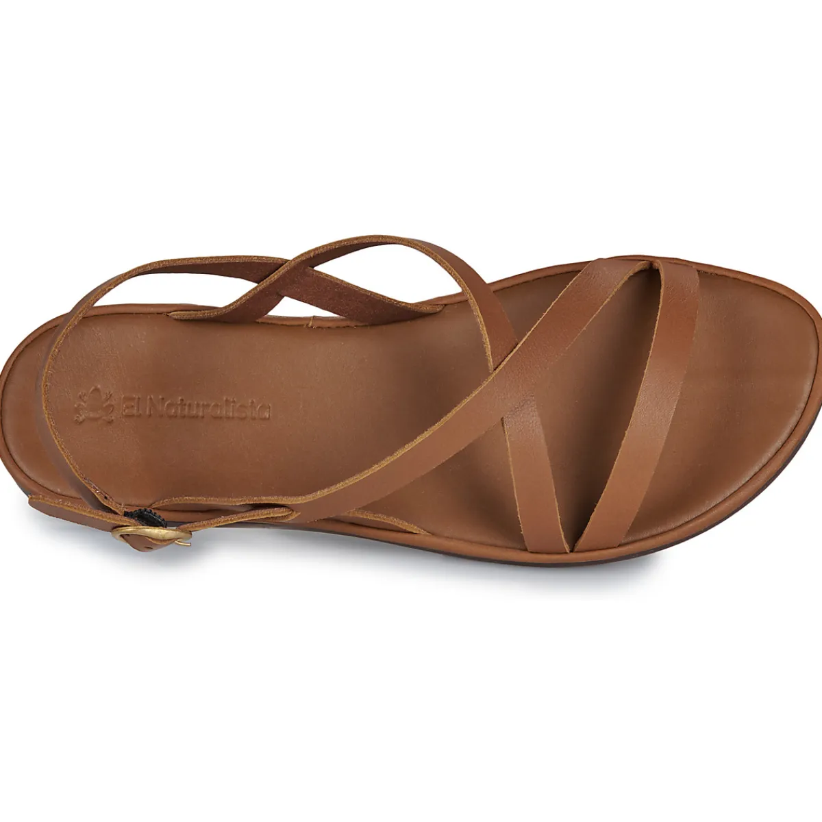 El Naturalista - TULIP N5694 Marron New