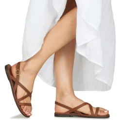 El Naturalista - TULIP N5694 Marron New