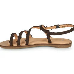 El Naturalista - TULIP N5193 Marron Discount