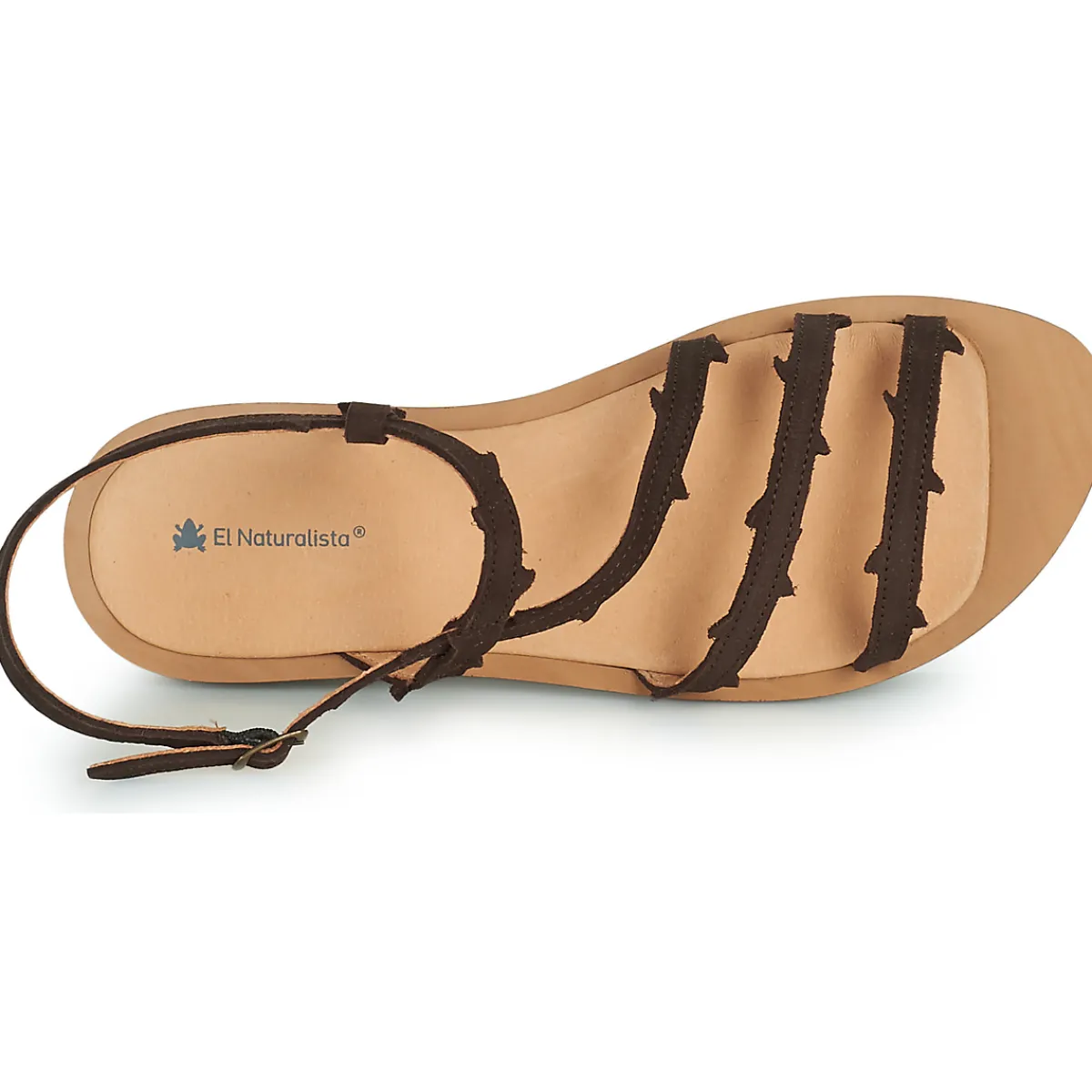 El Naturalista - TULIP N5193 Marron Discount