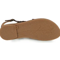 El Naturalista - TULIP N5193 Marron Discount