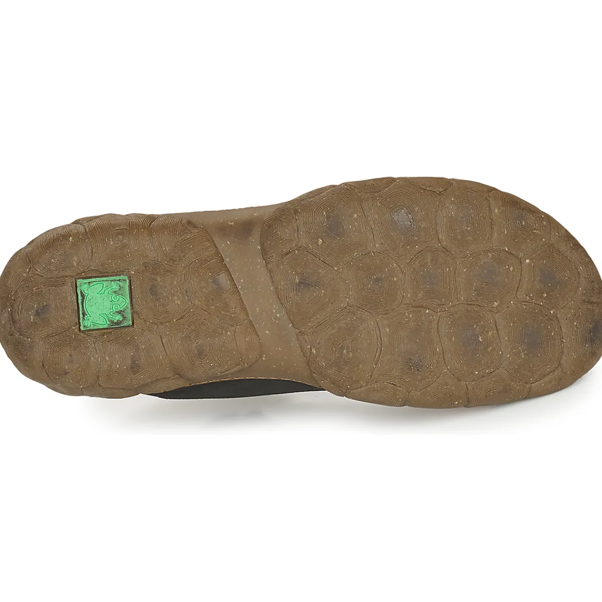 El Naturalista - TURTLE N5083