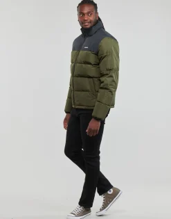 Element - FOREST NIGHT