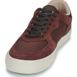 Element - HEATLEY 2.0 Bordeaux