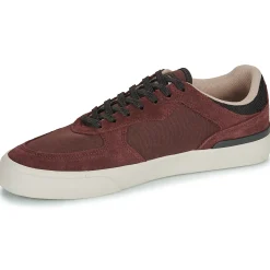 Element - HEATLEY 2.0 Bordeaux