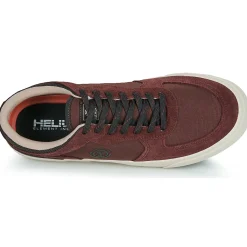 Element - HEATLEY 2.0 Bordeaux
