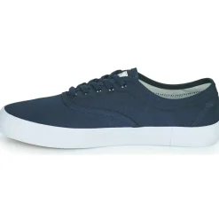 Element - PASSIPH New