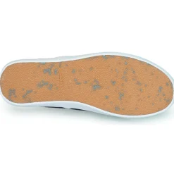 Element - PASSIPH New