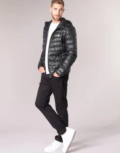 Emporio Armani EA7 - TRAIN CORE ID M DOWN LIGHT Sale