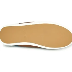 Faguo - CYPRESS Clearance