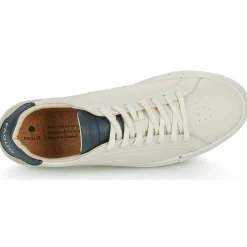 Faguo - EBONY Clearance