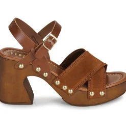 Online Fericelli - ADONIS Camel
